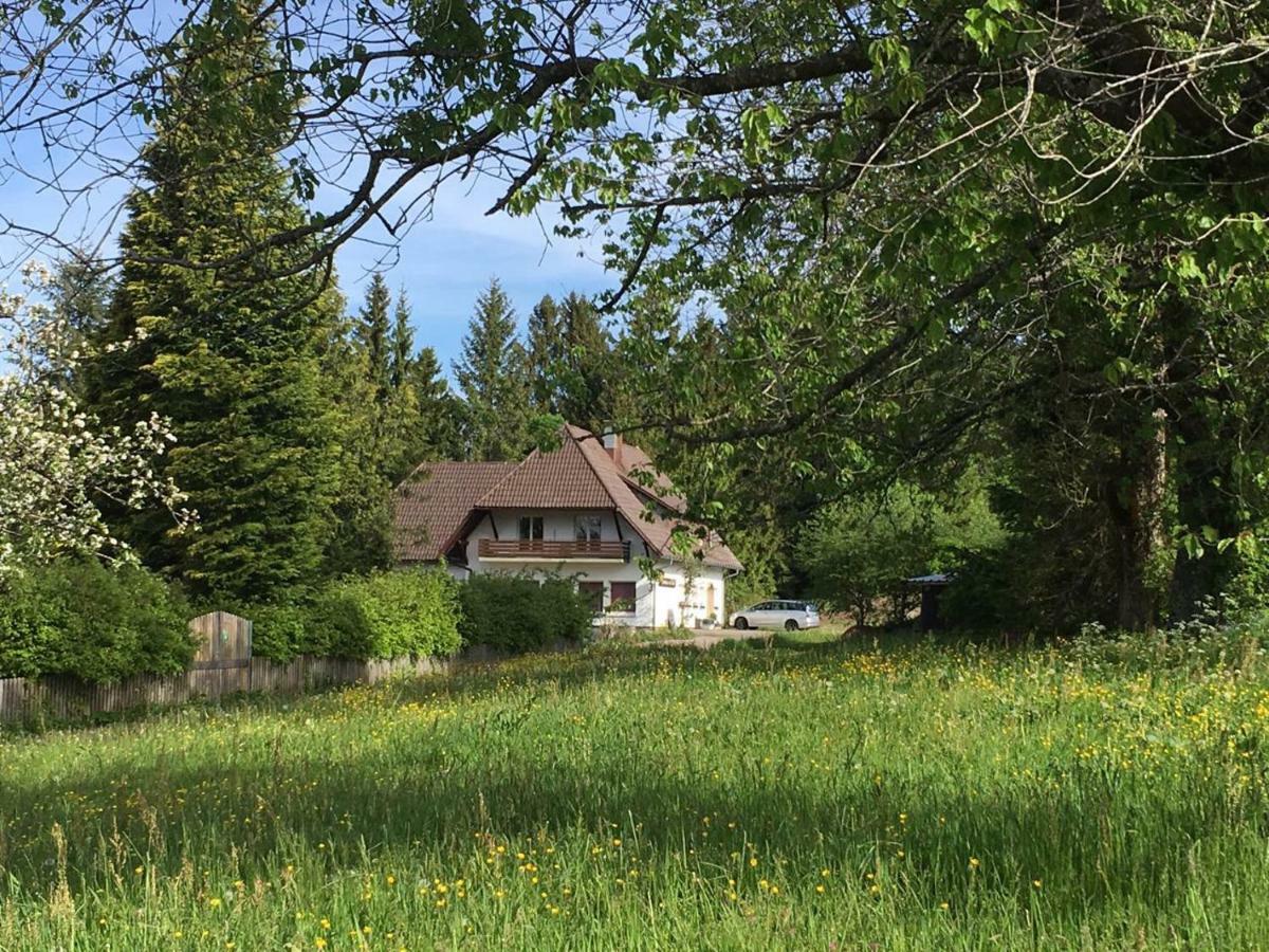 B & B Der Waldvogel Herrischried 外观 照片